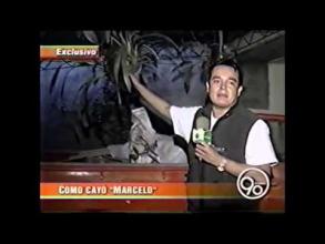 Embedded thumbnail for Informe sobre la captura del camarada Marcelo  &gt; Videos