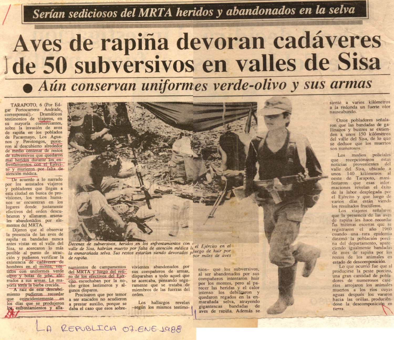 Hallan fosa común con restos de tupacamarus