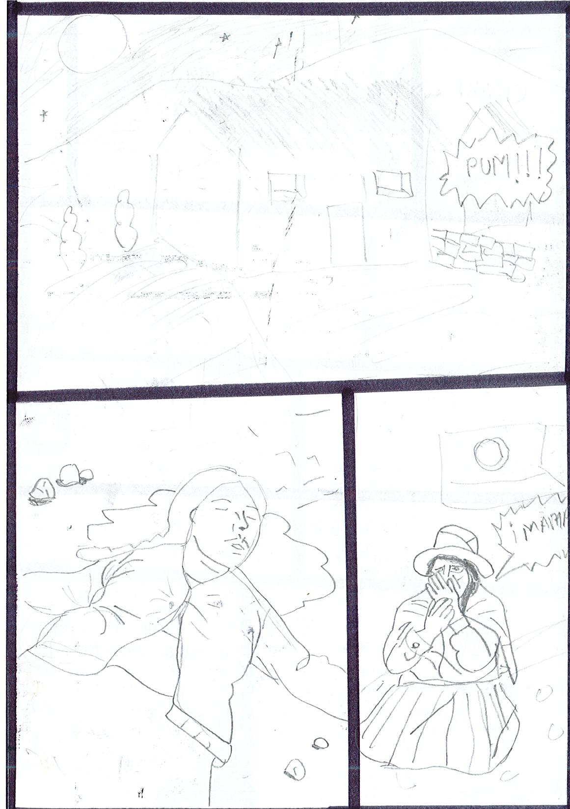 Violencia en los andes*