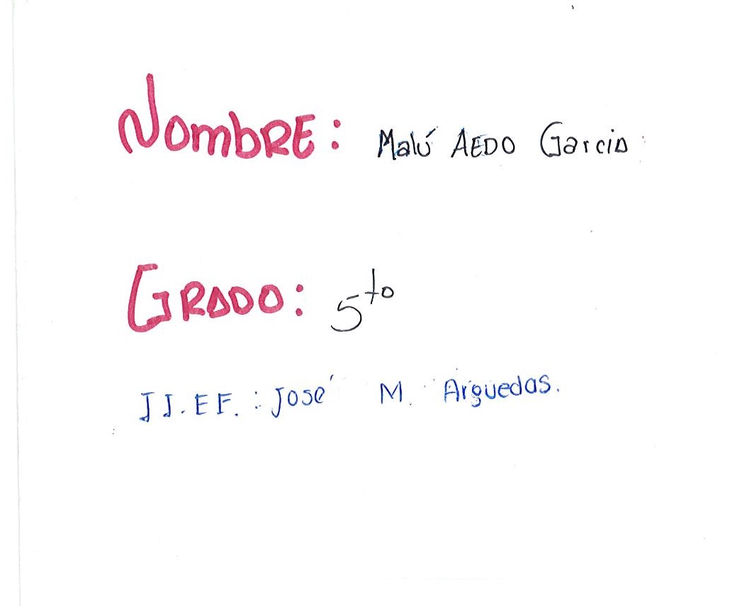 Terroristas se aprovecharon de pobladores*