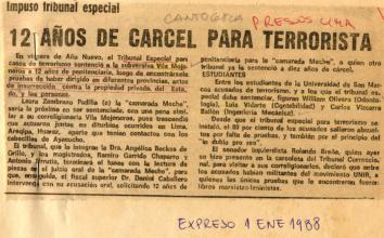 12 AÑOS DE CÁRCEL PARA TERRORISTA