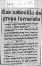 Cae cabecilla de grupo terrorista