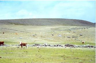 Exhumación de fosas en Santiago de Lucanamarca - Ayacucho