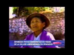 Embedded thumbnail for Pintas senderistas aparecen en Ayacucho &gt; Videos