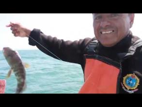 Embedded thumbnail for Soy pescador > Videos