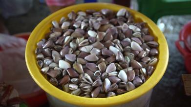 Embedded thumbnail for Mi Santa Rosa &gt; Videos