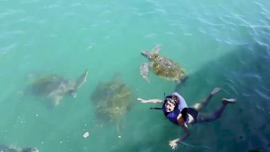 Embedded thumbnail for El nudo &gt; Videos