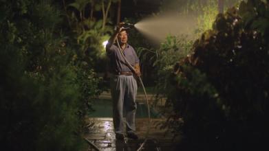 Embedded thumbnail for Takehara &gt; Videos