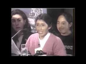 Embedded thumbnail for Resumen de las audiencias públicas realizadas en Huancayo el 22 de mayo de 2002 &gt; Videos