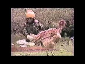 Embedded thumbnail for Niña es amarrada junto a animales de corral en Cerro de Pasco &gt; Videos