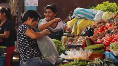 Embedded thumbnail for Rosas que brillan &gt; Videos