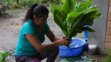 Embedded thumbnail for Planeta verde y azul &gt; Videos