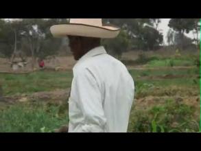 Embedded thumbnail for Puro jota > Videos