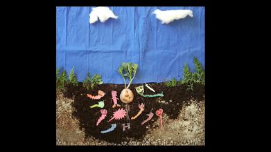 Embedded thumbnail for Papa tarpuy &gt; Videos