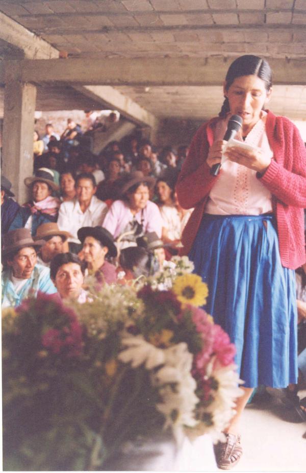 Reunión de los Comisionados con la Asociación Nacional de Familiares de Secuestrados, Detenidos y Desaparecidos del Perú en Huamanga