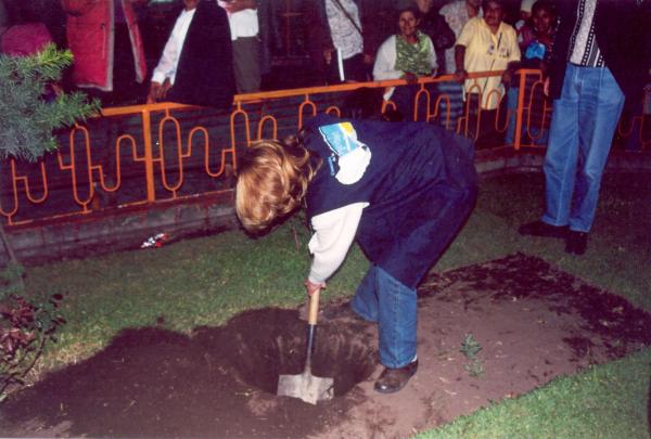 Siembra del árbol de la paz - Abancay