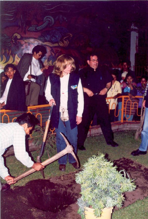 Siembra del árbol de la paz - Abancay