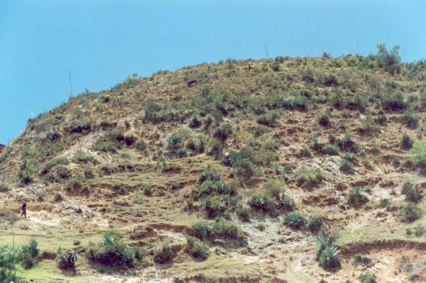 Reunión con autoridades locales y pobladores de Capaya - Apurímac