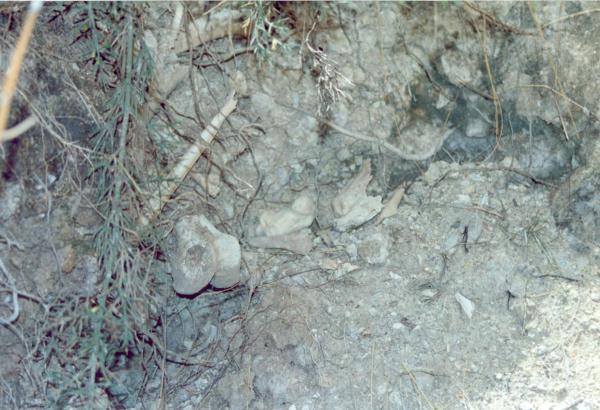 Visita a fosas clandestinas en Capaya - Apurímac