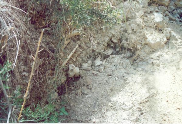 Visita a fosas clandestinas en Capaya - Apurímac