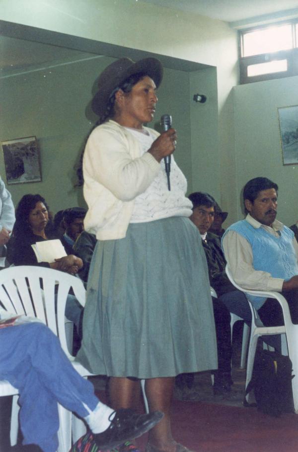 Conferencia pública de comisionados - Consejo Distrital de Lircay - Huancavelica