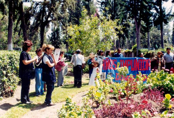 Siembra del Árbol de la Paz