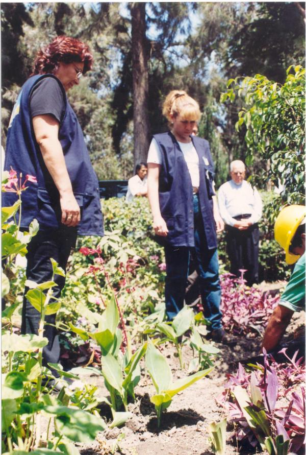 Siembra del árbol de la paz - Ancash