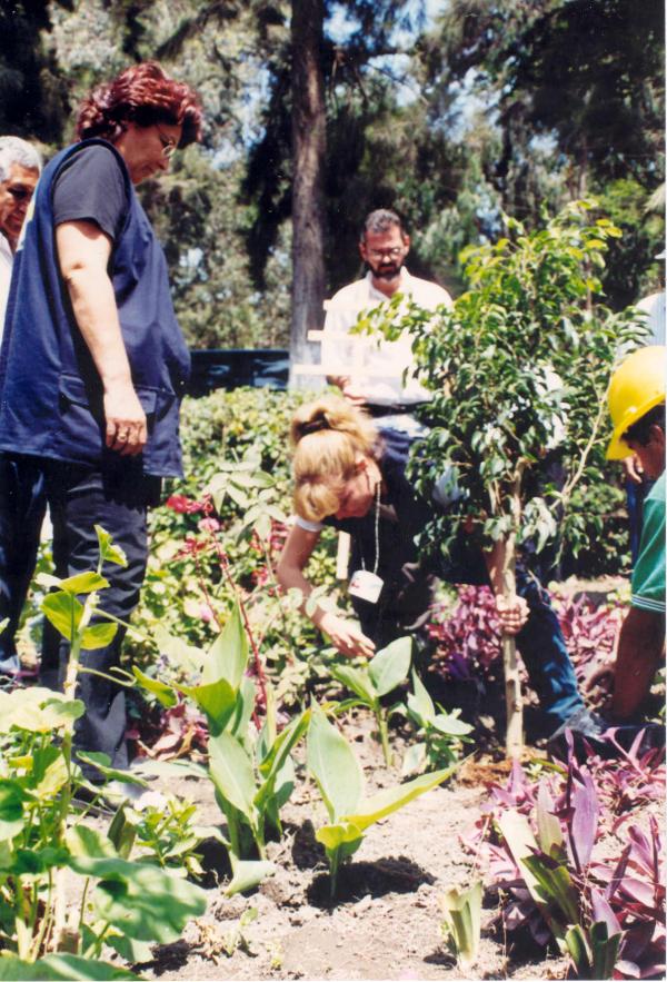 Siembra del Árbol de la Paz