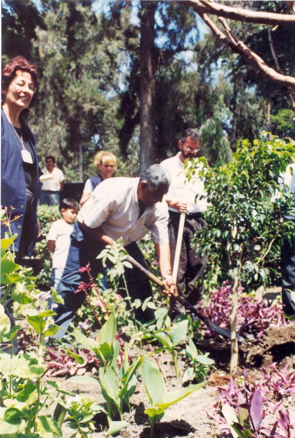 Siembra del Árbol de la Paz