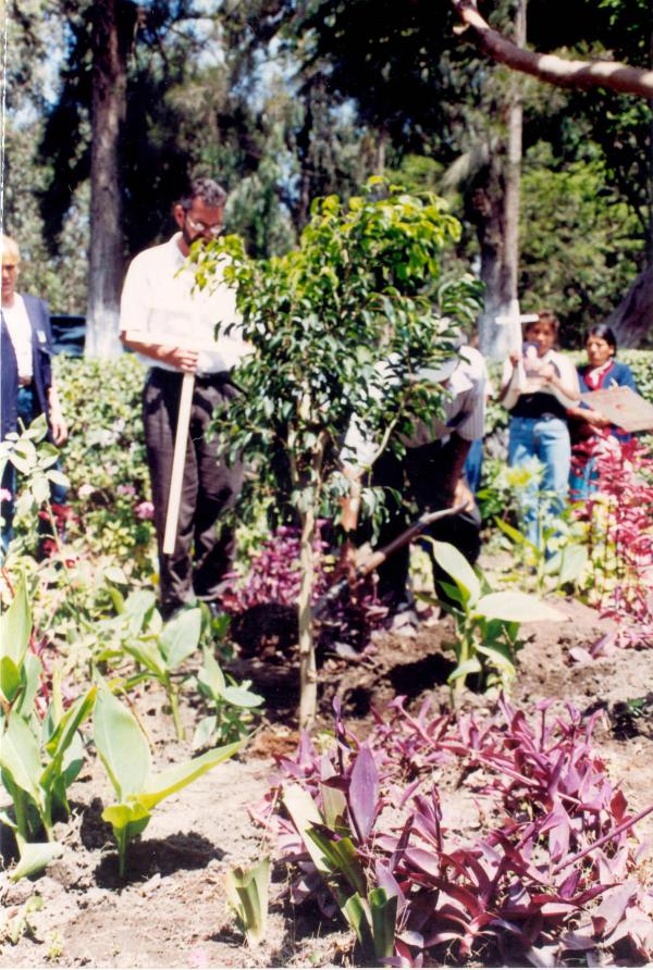 Siembra del Árbol de la Paz