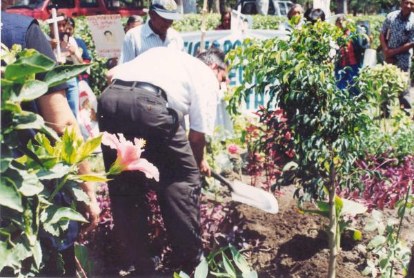 Siembra del Árbol de la Paz