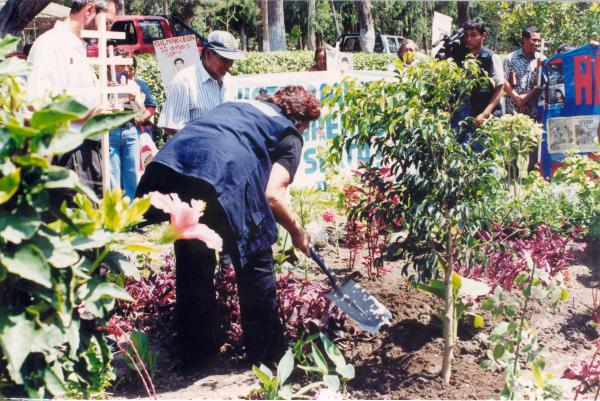 Siembra del Árbol de la Paz