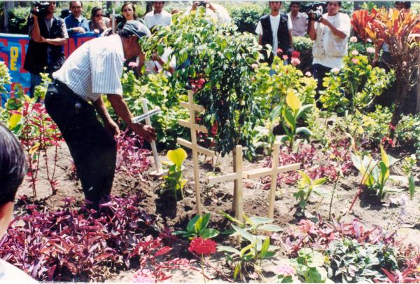 Siembra del Árbol de la Paz