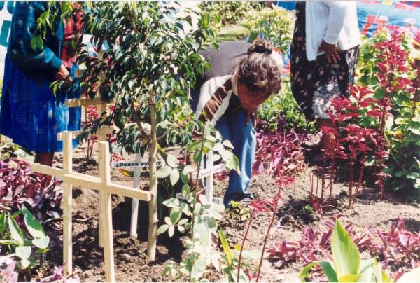 Siembra del Árbol de la Paz