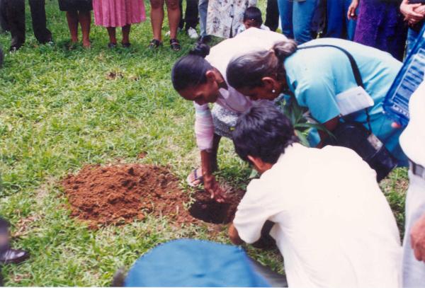 Siembra del árbol de la paz - Tarapoto