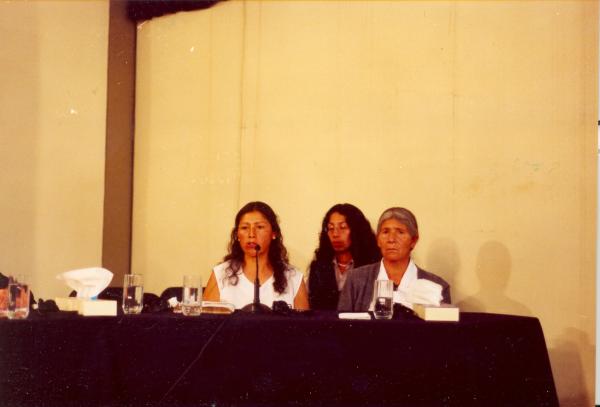 Testimonio de Castillo Vílchez Alicia - Huamanga