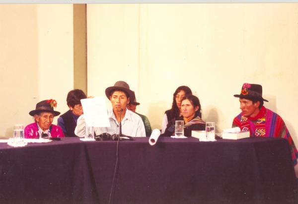 Caso: masacre comunidad de Paccha y Testimonios de Marcelino Chumbes y Paulina Abarca - Huamanga