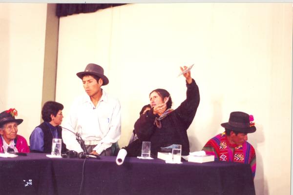 Caso: masacre comunidad de Paccha y Testimonios de Marcelino Chumbes y Paulina Abarca - Huamanga