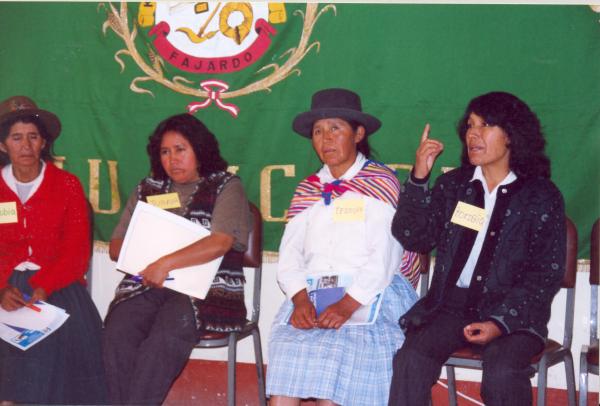 Taller con voluntarios en Víctor Fajardo - Ayacucho
