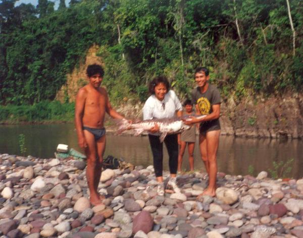 Actividades en el río Ene durante la época de la violencia