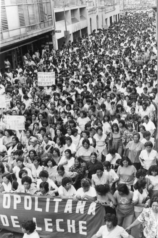 Alimentación:  Vaso de leche 8