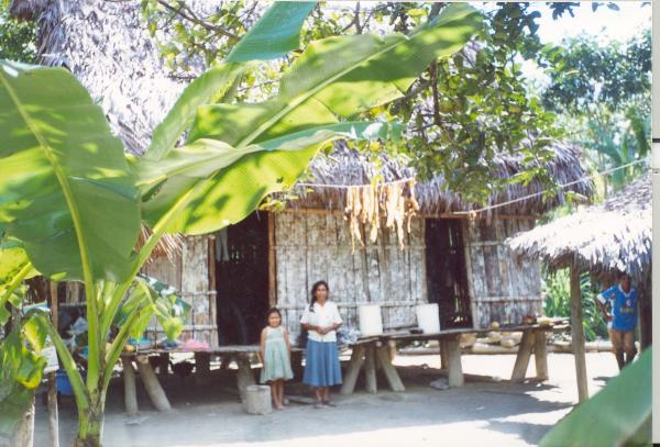 Operativo Aries - Huánuco