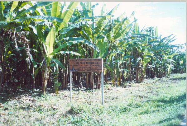 Operativo Aries - Huánuco