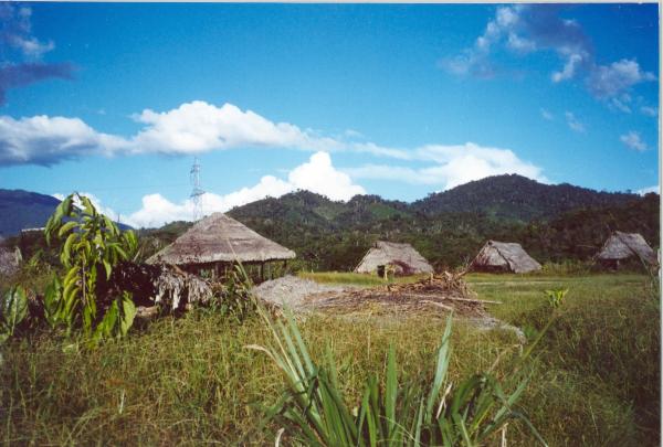 Operativo Aries - Huánuco