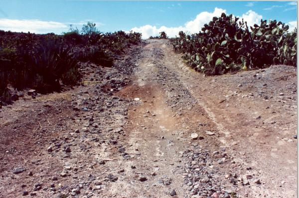 Localización de fosas en Cabitos en Ayacucho
