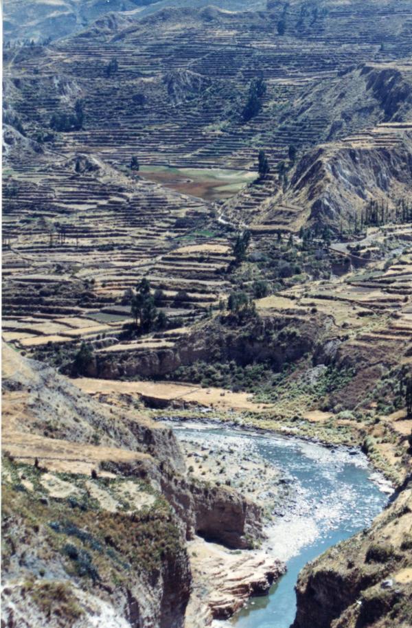 Fotografías de campos de cultivo