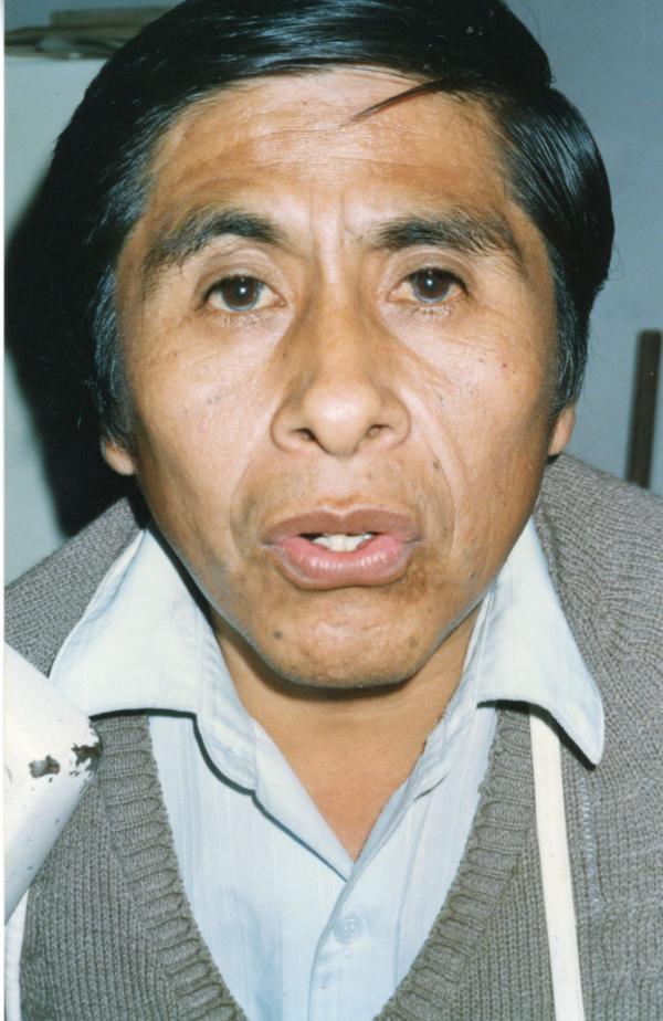 Alimentación: Mercados 5