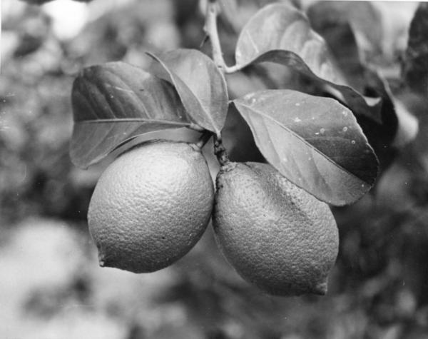 Alimentación: Bares y restaurantes 4