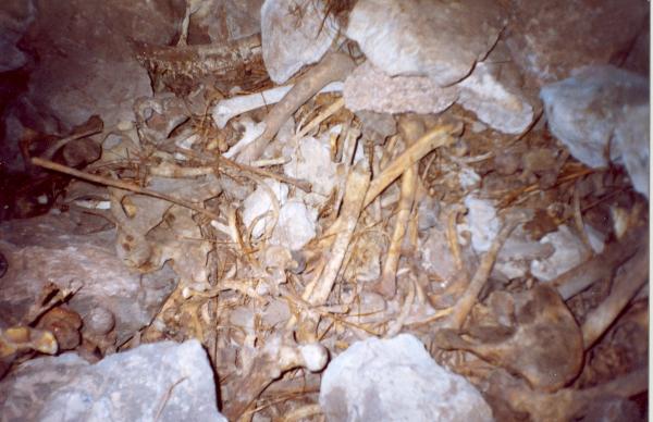 Localización de Fosas en Turpo - Apurímac