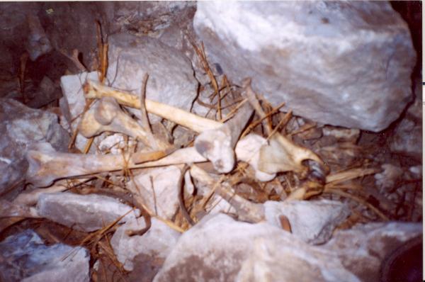 Localización de Fosas en Turpo - Apurímac